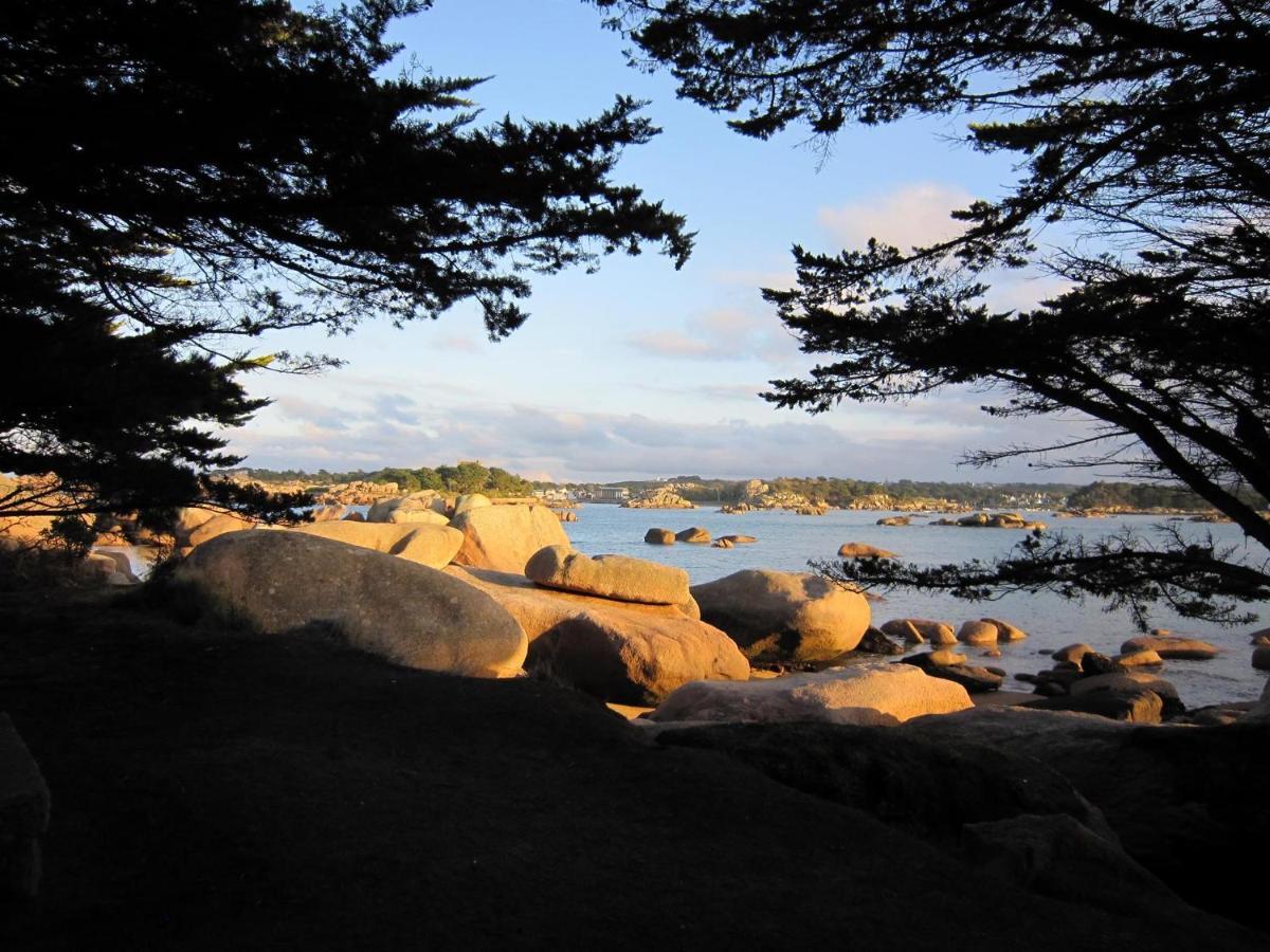 Trestraou, Cote De Granit Rose, Studio Vue Mer, Rez-De-Chaussee 펄로스가이렉 외부 사진